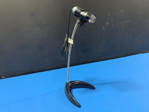 Dino lite big - big, am313t