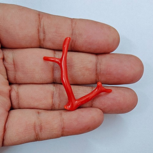 Ramo corallo rosso italiano - corallo,