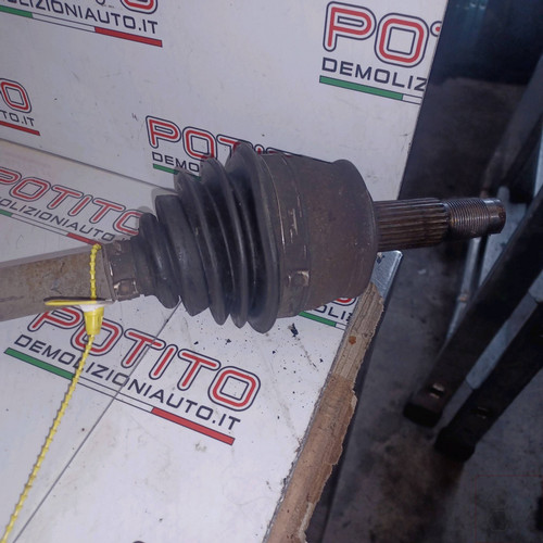 46308261 semialbero ant - semialbero,