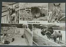 52316 AK Parco Animali Aue