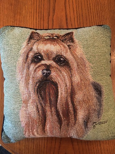 Yorkie yorkshire terrier - yorkie,