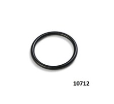 Anello guarnizione ricambio Intex 10712 per pompa filtro e clorinatore - Rotex