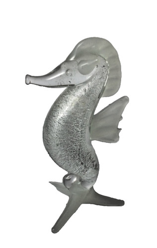 Hippocampus vetro oggetto - in,