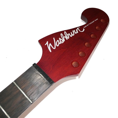 Washburn nuno bettencourt - washburn,