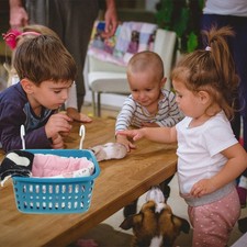  Accessori Per Gabbia Da