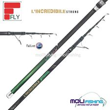 CANNA PESCA STORIONE FLY INCREDIBILE STRONG 420 - 250 GR CARBONIO TOARY FUJI NEW