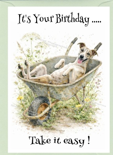 Biglietto compleanno cane - biglietto,