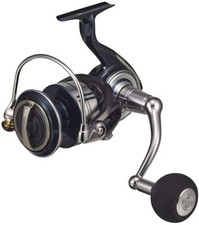 Mulinello da spinning Daiwa 21