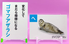 Carta Karuta sigillo