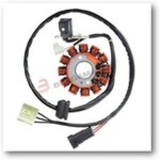 V833200313 STATORE BERGAMASCHI