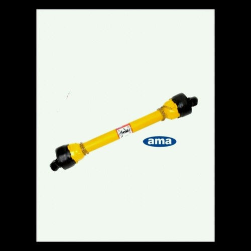 Cardano cat x 800 - 4,