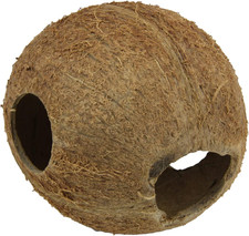 , Guscio Di Noce Di Cocco