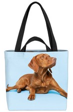 Cane da sporgenza ungherese