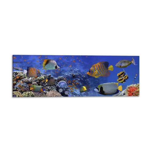 Quadro stampa tela con - quadro,
