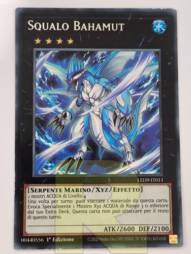 Squalo bahamut shark - squalo, /