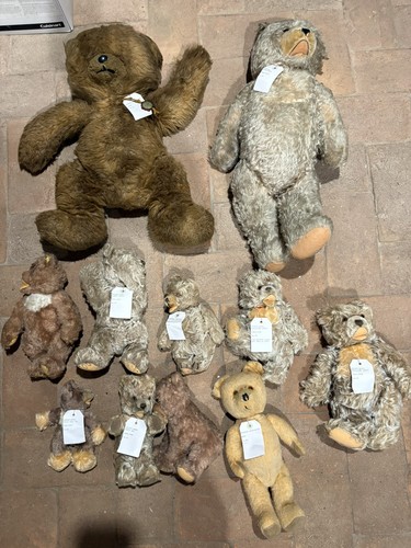 Lotto peluche steiff - lotto,