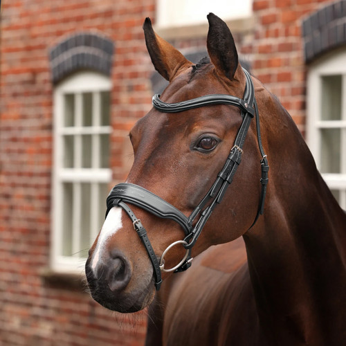Shires velociti lusso opus - shires,