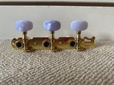 Coppia di chitarre acustiche