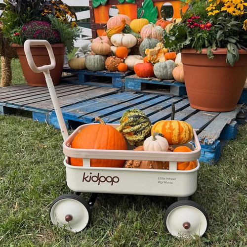 Carrello mano per - a, bambini