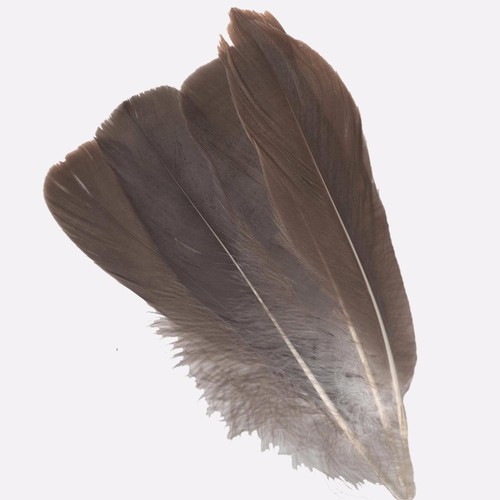 Herl oca grigio - oca,