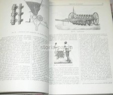 AGRARIA_CEREALI_FRUMENTO_GRANO_MAIS_AVENA_SEGALE_GRANO SARACENO_ORZO_FARRO_1931