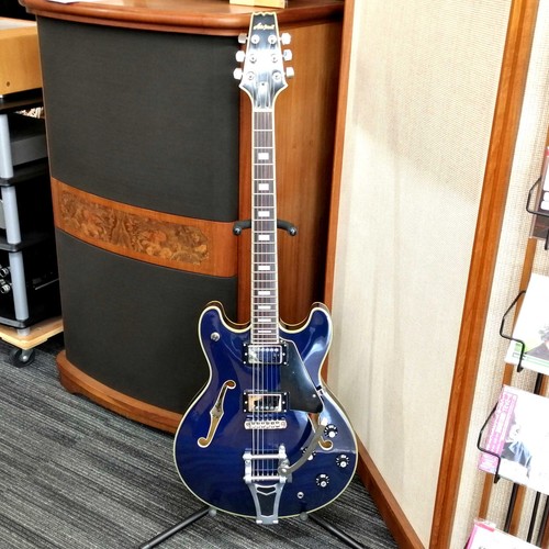 Aria proii 62t chitarra - aria,