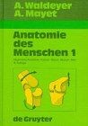 Anatomie des Menschen für