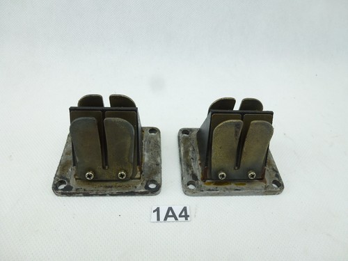 Membrana ingresso zylinder - ingresso,