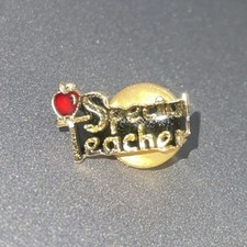 Spilla bavero mela insegnante