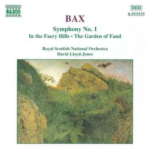 Symphony in the - symphony,