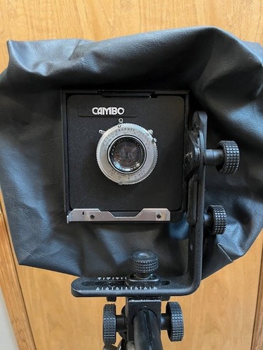 Telecamera grandangolare