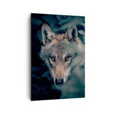 Quadro su Tela 70x100cm Lupo foresta predatore Stampe Immagini Quadri Murale