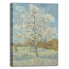 Van Gogh pesco rosa design