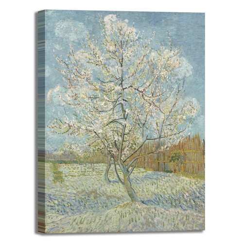 Van gogh pesco rosa design - gogh,