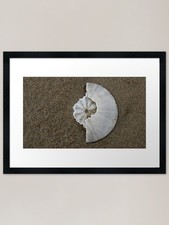 Stampa artistica con cornice