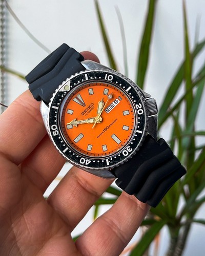 Seiko slim turtle - seiko,