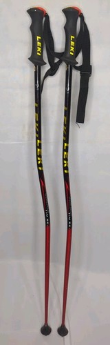 Leki worldcup racing ski - racing,