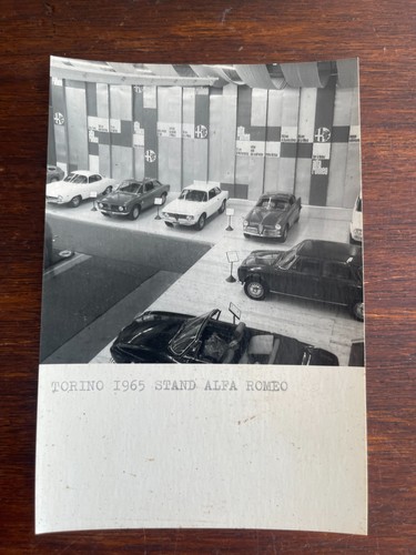 Alfa romeo torino 1965 - romeo,
