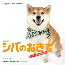 YOUR SONG IS GOOD Shiba no