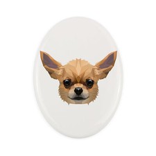 Chihuahua a pelo corto