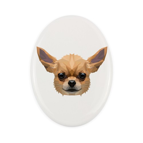 Chihuahua pelo corto - chihuahua,