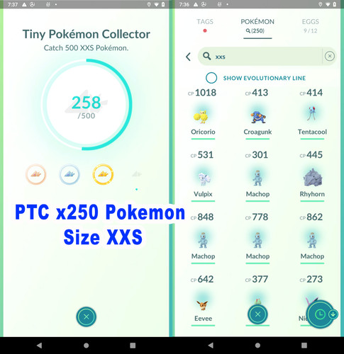 Medaglia plantium pokemon - medaglia,