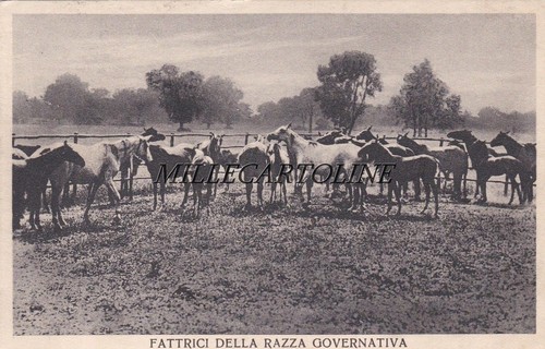 Persano fraz di serre - persano,,