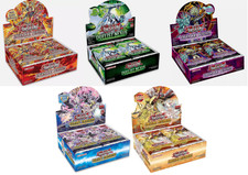 YuGiOh Display ECONOMICO a