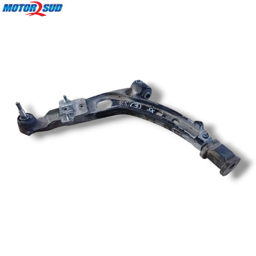 Bracci oscillanti ant - bracci,