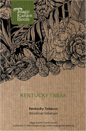 Tabacco kentucky nicotiana - kentucky, (nicotiana
