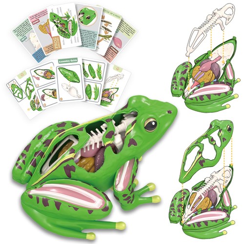Vision frog modello - vision,
