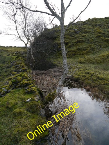 Photo 12x8 outflow - photo,