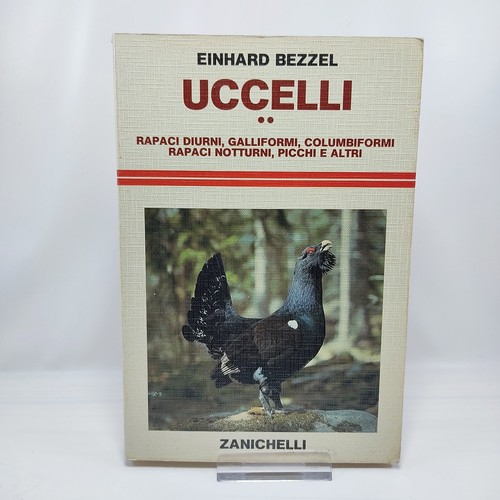 Bezzel uccelli rapaci - uccelli, 2,