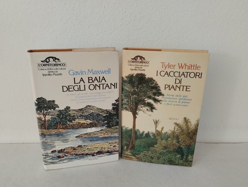 Baia degli ontani i - baia, +